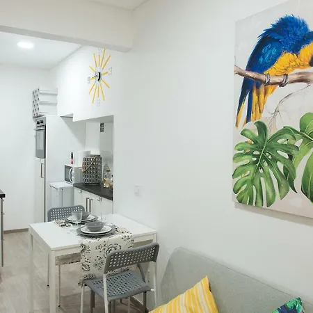 Tropical House Sesimbra